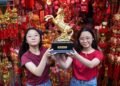 Year of the Fire Horse