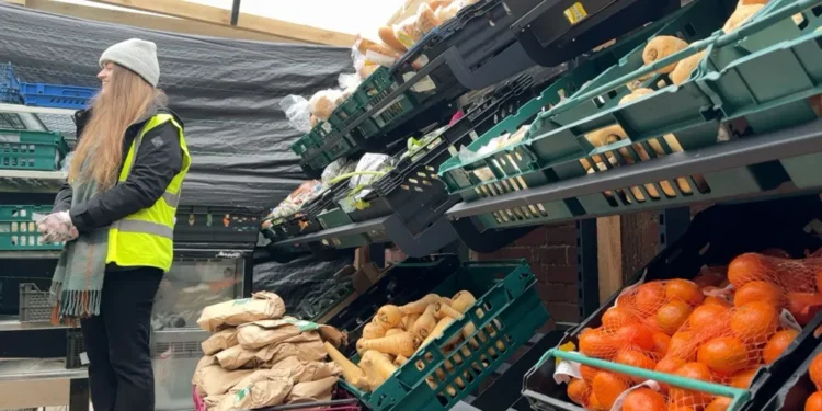 factory workers help food bank