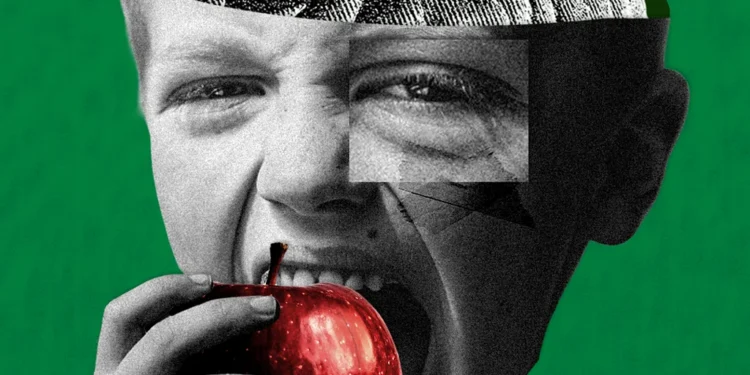 fibre protective effect on cognition