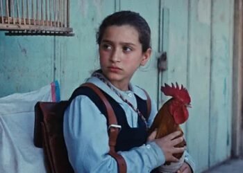 Best films February 2026 movies to watch