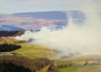 foot and mouth disease outbreak UK