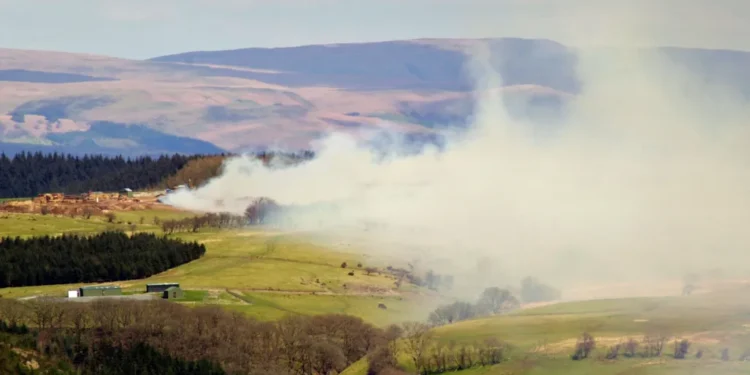 foot and mouth disease outbreak UK