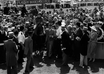 mystery of stolen champion racehorse Shergar