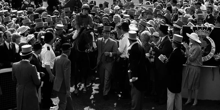 mystery of stolen champion racehorse Shergar