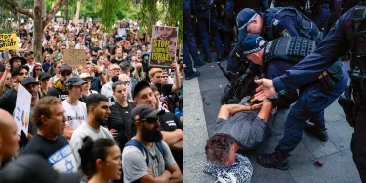 Sydney protest violence prompts police watchdog probe