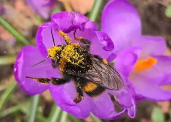 spring‑like warmth 18C forecast UK