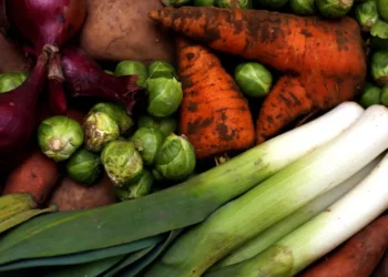 vegetarian diet cancer risk study