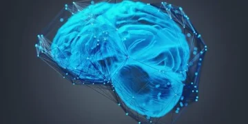 what happens after you die