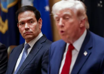 Washington Enlists Musk to Battle Global Hostility Online