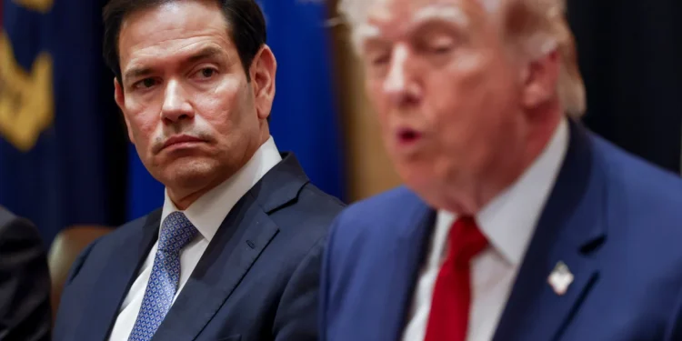 Washington Enlists Musk to Battle Global Hostility Online