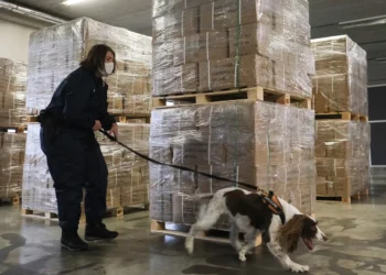 Belgium narco-state warning