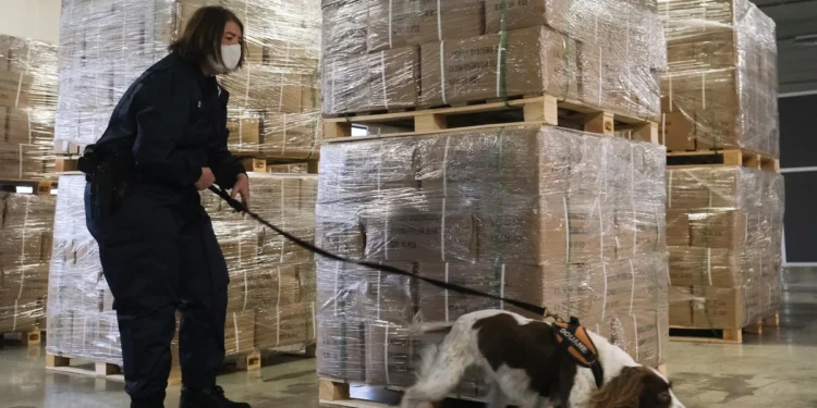 Belgium narco-state warning