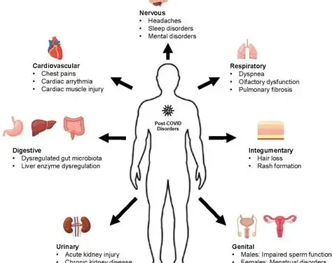 Body Dysmorphia Cases Quadruple Post-Covid Zoom Dysmorphia