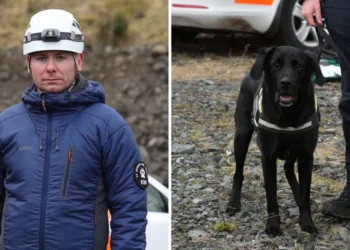 Four Teens Charged After Attack on Rescue Volunteer and His Dog