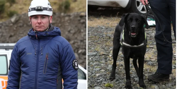 Four Teens Charged After Attack on Rescue Volunteer and His Dog