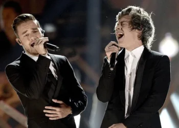 Harry Styles Liam Payne death life reflection