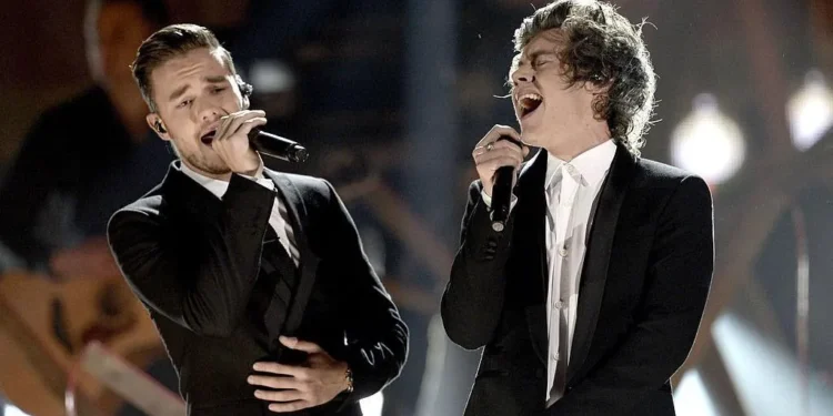 Harry Styles Liam Payne death life reflection