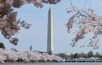 How Australia’s Seven-Month Manhunt for Dezi Freeman Ended