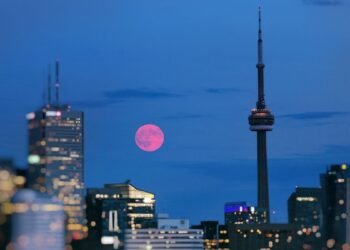 How and When to See April's Full Pink Moon 2026