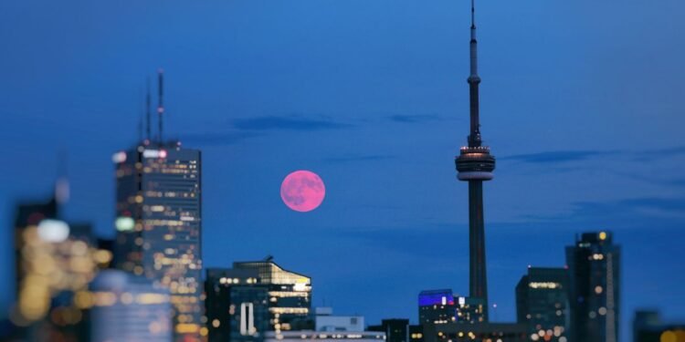 How and When to See April's Full Pink Moon 2026