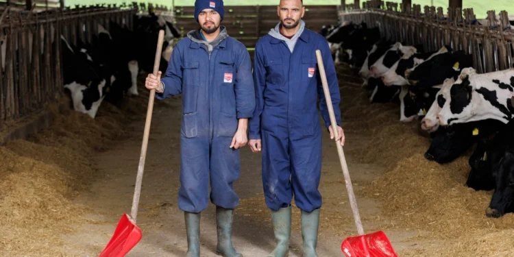 Meloni Italy migrants policy