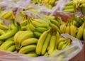 Orkney Tesco Banana Mistake 38,000 Ordered Kirkwall 2026