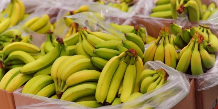 Orkney Tesco Banana Mistake 38,000 Ordered Kirkwall 2026