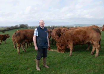 Rewilding Cash Grab Driving Farmers Off the Land