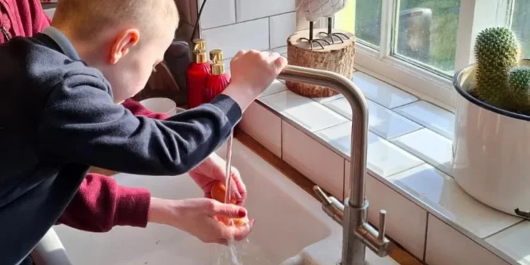 boy’s roadside stall stolen eggs money