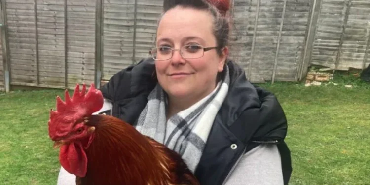 cockerel noise council warning UK