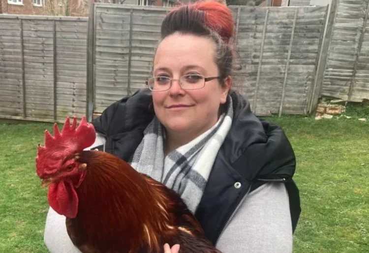 cockerel noise council warning UK