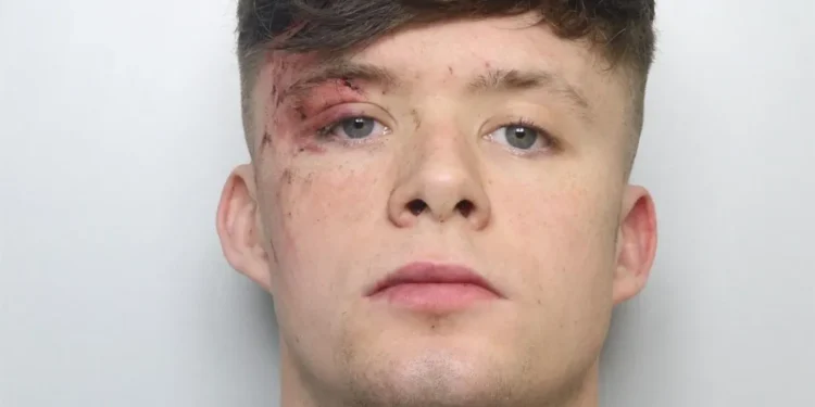 fatal water treatment tank crash driver jailed