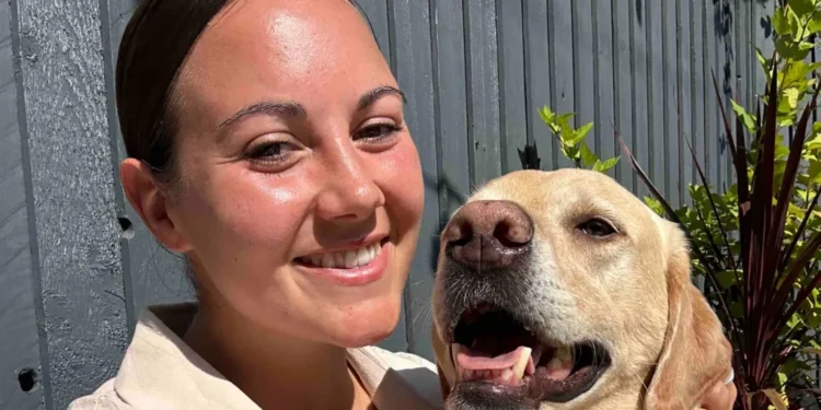 van stolen seven dogs