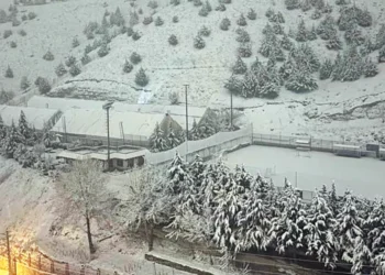 young Iranians coping with war