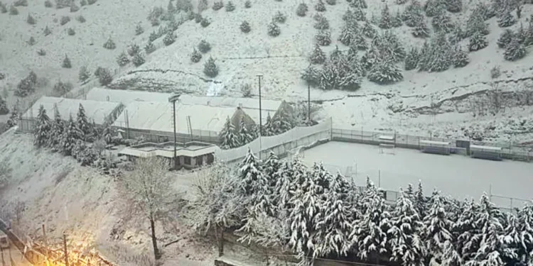 young Iranians coping with war