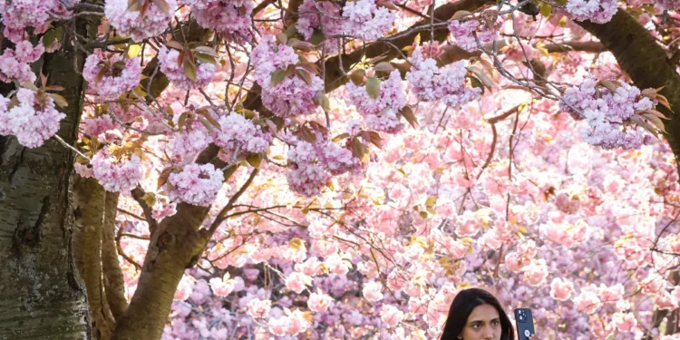 Pollen Seasons Stretch as Climate Heats Up