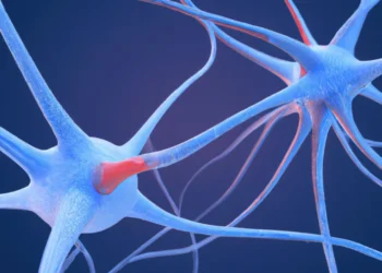 Mapping the Mind: The Universal Fingerprint of Psychedelics