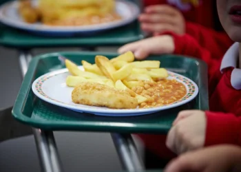 School Plate Revolution: England Bans Fried Menu Classics
