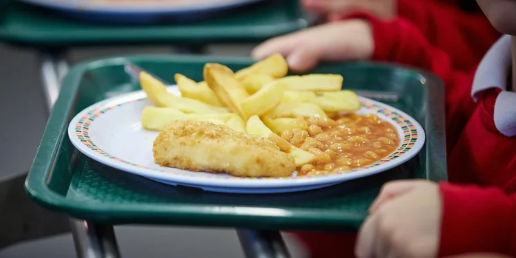 School Plate Revolution: England Bans Fried Menu Classics