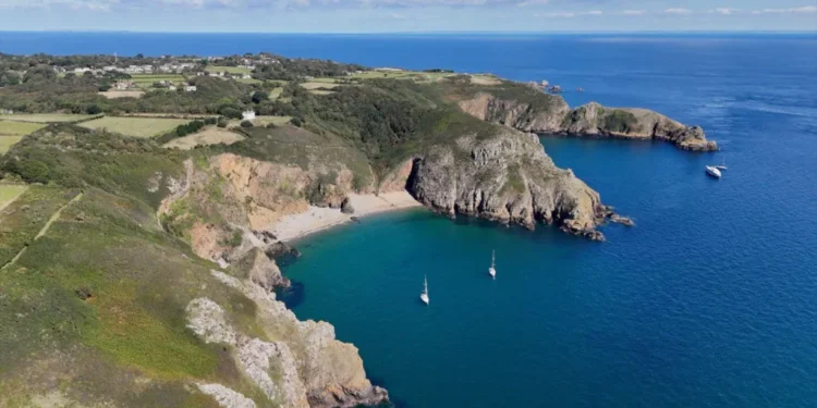 Animal Charity Donates Pet Equipment to Sark Community