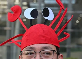 China AI lobster OpenClaw