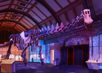 Dippy the Dinosaur 2026: Landmark Arrival at Cathedral