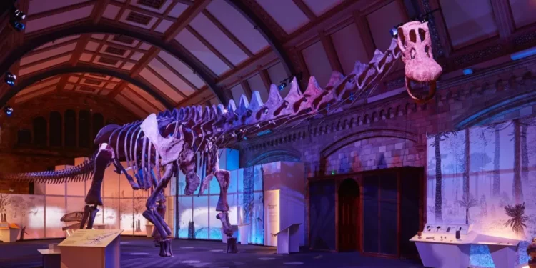 Dippy the Dinosaur 2026: Landmark Arrival at Cathedral