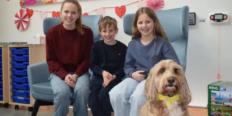 Frankie the Cockapoo 2026: MND Support Dog Sparks Smiles