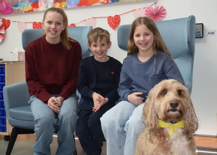 Frankie the Cockapoo 2026: MND Support Dog Sparks Smiles