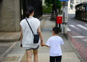 Japan Joint Custody Law 2026 Divorce Reform