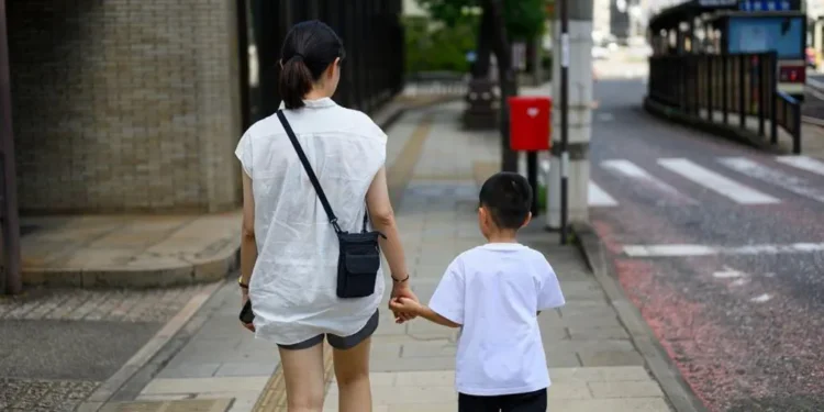 Japan Joint Custody Law 2026 Divorce Reform