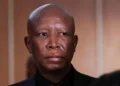 Julius Malema Sentenced to 5 Years in Prison Over Gun Incident