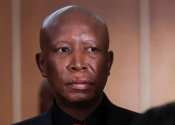 Julius Malema Sentenced to 5 Years in Prison Over Gun Incident