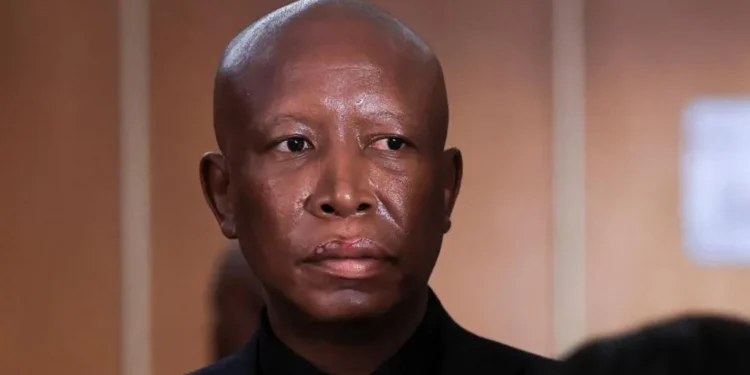 Julius Malema Sentenced to 5 Years in Prison Over Gun Incident